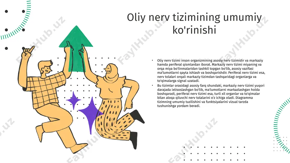 y reflekslar orqali hayvonlar muhitga javob berishgan. oliy nerv faoliyatining rivojlanish bosqichlari oddiy hayvonlardan, masalan, meduzalardan sutemizuvchilarga o'tishni o'z ichiga oladi. har bir bosqichda nerv tizimlarining tuzilishi va funktsiyalari takomillashdi. turli hayvonlar va odamlar misollarida, masalan, qushlar va sutemizuvchilar yuqori darajadagi muvofiqlik ko'rsatiladi. odamlar esa murakkab ijtimoiy va hissiy faoliyatlari bilan ajralib turadi. oliy nerv faoliyatining ahamiyati biologik ahamiyati oliy nerv faoliyati organizmning hayotiy jarayonlarini boshqarishda muhim rol o'ynaydi. u ichki organlar va to'qimalar o'rtasida signal uzatadi, ularning faoliyatini muvofiqlashtiradi. shuningdek, bu faoliyat turli biologik jarayonlarni, masalan, ovqatlanish, nafas olish va harakatni ta'minlaydi. hayotiy jarayonlarga ta'siri oliy nerv faoliyati organizmning turli hayotiy jarayonlariga sezilarli ta'sir ko'rsatadi. u homeostazni saqlashda va adaptiv reaksiyalarni shakllantirishda ishtirok etadi. shu bilan birga, stress va muhit o'zgarishlariga javob berishda ham asosiy rol o'ynaydi. oliy nerv faoliyatining asosiy komponentlari nerv hujayralari va roli nerv hujayralari, yoki neyronlar, oliy nerv faoliyatida asosiy rol o'ynaydi. ular axborotni qabul …