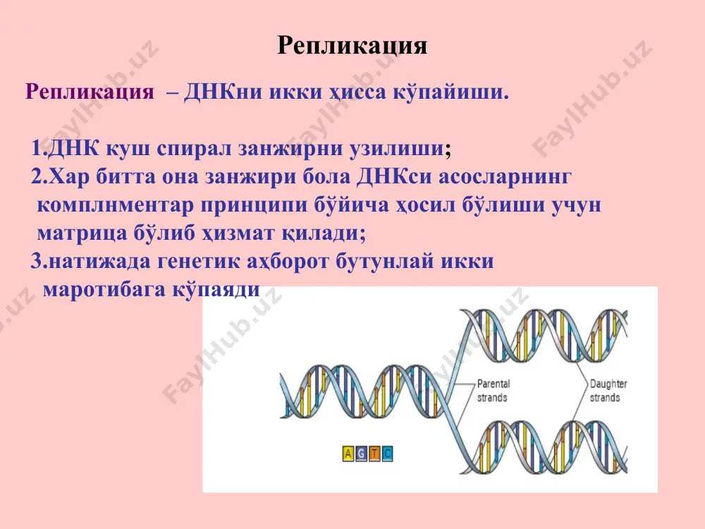 replikatsiyaning molekulyar asoslari - Page 4