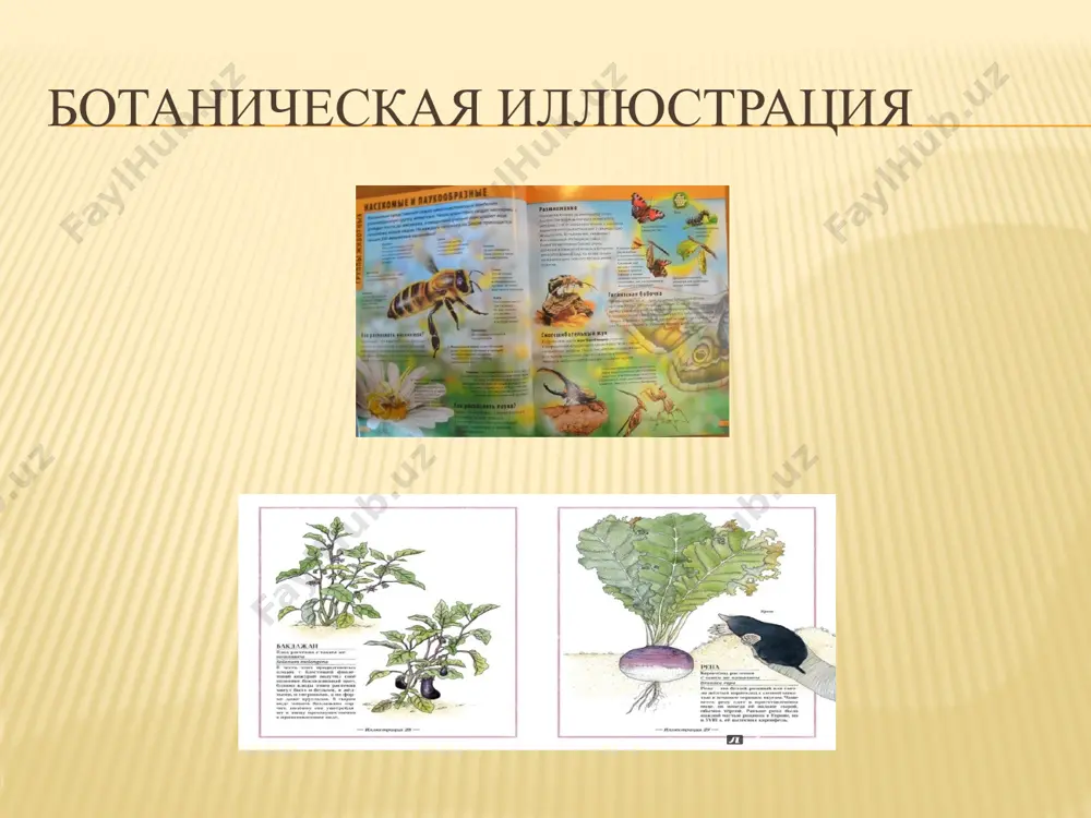 о чем говорят иллюстрации ● о времени ● о временах года ● о местах происшествия ● о странах ● о людях и.т.д. весна лес татары индейцы америка древний мир image3.jpeg image4.jpeg image5.jpeg image6.jpeg image7.jpeg image8.gif image9.jpeg image10.jpeg image11.jpeg image12.jpeg image13.jpeg image14.jpeg image15.jpeg image16.jpeg image17.jpeg image18.jpeg image19.jpeg image20.jpeg image21.jpeg /docprops/thumbnail.jpeg