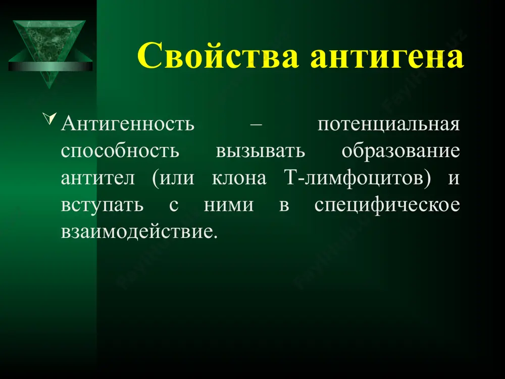 антитела - Page 4