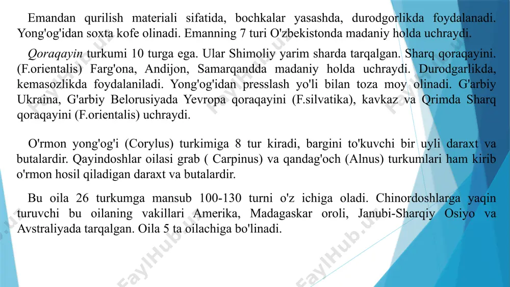 ladi. qayinnamolar qabilasi (betulales) qayinndoshlar oilasi (betulalaceae) bu oilaga 6 ta turkumga mansub 150 ga yaqin tur kiradi. ular asosan shimoliy yarim sharda tarqalgan. keng tarqalgan turlariga misol qilib tyanshan qayinini (betula tiahshanica) olish mumkin. u bargini to'kuvchi daraxtdir. bargi oddiy, yon bargchali. gullari ayrim jinsli, bir uyli. gulqo'rg'oni oddiy. changchi guli kuchalada, urug'chi guli yumaloq to'pgulda joylashgan. shamol yordamida changlanadi. o'zbekistonda 1 ta turkumga mansub 2 turi o'sadi. qayin (betula) turkumga 60 ga yaqin bargini to‘kuvchi daraxt va butalar kiradi. o'zbekistonda oq qayin (betula verrucosa), momiqli qayin (b.pomirica) kabi turlar uchratiladi. yong'oqnamolar qabilasi (juglandales) yong'oqdoshlar oilasi (juglandaceae) oila 7 ta turkumga mansub 60 ta turni birlashtiradi. asosan yevrosiyo va amerikada tarqalgan. gullari ayrim jinsli, changchilari kuchalasimon to’pgulda joylashgan. urug'chisi ikkita mevachi bargning qo'shilib o'sishidan hosil bo'lgan. tugunchasi ostki, mevasi - yong'oq meva. barglari toq patsimon murakkab, efir moy chiqaruvchi bezchalardan iborat. o'zbekistonda oddiy yong'oq (juglans regia) o'sadi. u pskom, …