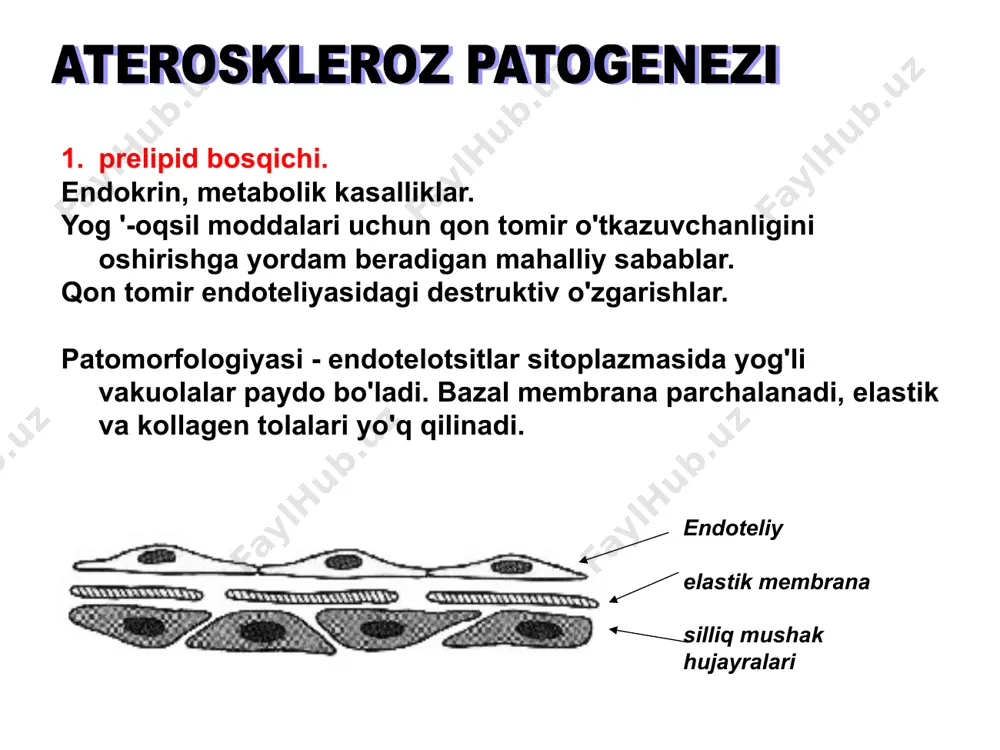 g aterosklerozi emboliya natijasida organning infarkti (gangrenasi). anevrizma shakllanishis aterosklerotik aorta qopqog'i kasalligining rivojlanishi aterosklerozning asoratlari anevrizmalarning shakllanishiaorta aterosklerozning asoratlari aterosklerotik aorta qopqog'i kasalligining rivojlanishi aterosklerozning asoratlari miya arteriyalarining aterosklerozi aterosklerozning asoratlari miya arteriyalarining aterosklerozi aterosklerozning asoratlari aterosklerotik siqilgan buyraklar. buyrak etishmovchiligi kamdan-kam rivojlanadi. renin-angiotensin tizimining faollashuvining kuchayishi natijasida nefrogen arterial gipertenziya paydo bo'ladi. aterosklerozning asoratlari ichak tomirlarining aterosklerozi ichak gangrenasi va peritonit aterosklerozning asoratlari ekstremitalarning arteriyalarining aterosklerozi femoral yoki popliteal arteriya trombozi natijasida oyoq-qo'llarining gangrenasi gipertonik kasallik- asosiy belgisi qon bosimining uzoq va doimiy o'sishi bo'lgan kasallik rivojlanish mexanizmiga ko'ra arterial gipertenziya turlari:birlamchi (gipertenziya) va ikkilamchi (simptomatik) gipertenziya. ikkilamchi arterial gipertenziya: buyrak(renovaskulyar va renoparenximal), -endokrin(itsenko-kushing sindromi, feokromotsitoma, gipertiroidizm, giperparatiroidizm bilan),neyrogen(qon bosimini tartibga soluvchi miya tuzilmalarining organik shikastlanishi), refleksogen(baroreseptor zonalarining shikastlanishi),gemodinamik(eritremiya, aorta koarktatsiyasi, aorta qopqog'i etishmovchiligi). gipertonik kasallik 2. gipertenziya etiologiyasi. gipertenziya etiologiyasi oxiyati yo'q ko'pgina kuzatuvlarga asoslanib, gipertenziya irsiy moyillik bilan birgalikda uzoq davom etgan neyropsik stress natijasida yuzaga …