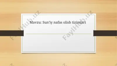 sun’iy nafas olish tizimlari — PPTX