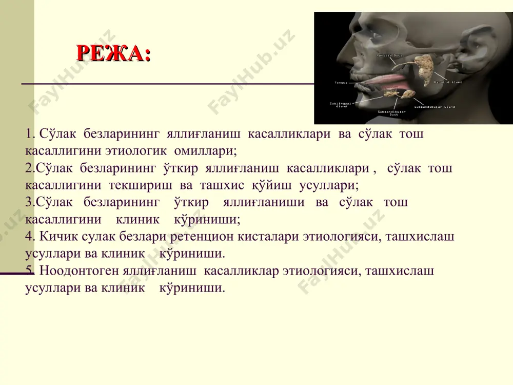 6. минерализация - сўлак тиш эмалидаги коллаген барьерларни шишириб ёки бужмайтириб таъсир кўрсатади. натижада эмалнинг ўтказувчанлиги оширишига ёрдам курсатади. сўлак безларининг вазифалари сўлак безларининг яллиғланиш касалликлари сиаладенит дейилади. кўп холларда клиник амалиётда сўлак безларининг яллиғланиш (ўткир ва сурункали сиалоаденит) ва дистрофик касалликлари (сиалозлар) учраб туради. эпидемик паротит – йирик сўлак безларининг ўткир инфекцион касаллиги. гриппоз сиалоаденит - грипп эпидемияси пайтида ривожланувчи касаллик бўлиб, кўпинча иккала жуфт сўлак безлари зарарланади околоушная сж (осж) – самая большая из сж: кулок олди сулак безлар(glandula parotis) - кулранг-пушти рангга эга. массаси 20-30 г атрофида: бу энг катта сўлак безидир.унинг чиқарув (стенонов ёки стенсон) канали безнинг олдинги чеккасидан чиқиб, чайнов мушагининг ташқи юзаси бўйлаб ўтади, унинг атрофини олд томонга ўрайди, букувчи мушакни тушади ва оғиз бўшлиғининг иккинчи юқори катта моляр (моляр) сатҳидаги вестибуласининг ён деворида очилади. баъзан сўлак безининг чиқарув каналидан юқорида қўшимча сўлак бези мавжуд бўлиб, унинг чиқарув канали билан бирлашади. жаг ости сўлак …