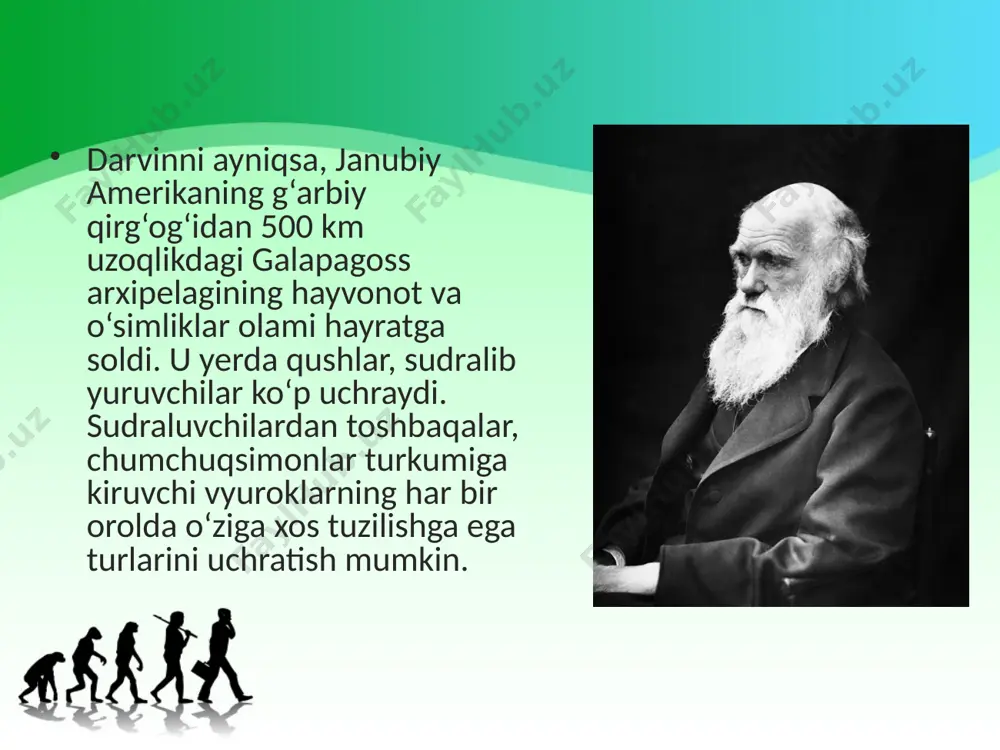 uvchanlikka, seleksionerning tajribasi va sinchkovligiga, tanlash olib borilayot gan organizmlarning nazoratsiz chatishmasligiga, tanlash ta’sirini irsiy o‘zgaruvchanlik tufayli to‘plana borishiga bog‘liq deb hisoblagan. darvin sun’iy tanlash yo‘li bilan yovvoyi hayvonlarni xonakilashtirish, yovvoyi o‘simliklarni madaniylashtirish, zot va navlarning belgi-xossalarini o‘zgartirish mumkinligini aniqlagach, tabiiy sharoitda yashaydiganorganizmlarda ham shunga o‘xshash jarayon ro‘y berishi mumkin degan fi krga keldi. darvin organizmlarda shaxsiy o‘zgaruvchanlik borligini yangi tur bilan tur xilini taqqoslash yo‘li bilan ham isbotladi. «tur xili» deganda olim turga xos belgi-xossalar yaxshi ifodalanmagan organizmlar guruhini tushungan. olimlar bir tur bilan ikkinchi tur orasida oraliq formalar uchramaydi, lekin tur bilan tur xili orasida oraliq formalarning uchrashi tabiiy bir hol deb hisoblaganlar. savol va topshiriqlar ch. darvinning evolutsion g‘oyalari lamarkning g‘oyalaridan nimasi bilan farq qiladi? ch. darvin ta’limotining mazmun-mohiyatini izohlang. ch. darvin xonaki hayvon, madaniy o‘simlik navlari xilma-xilligining sabablarini qanday izohladi? sun’iy tanlashning muvaff aqiyatli chiqishi uchun nimalarga e’tibor qaratish lozim? darvin fi kricha, shaxsiy o‘zgaruvchanlik nima? …