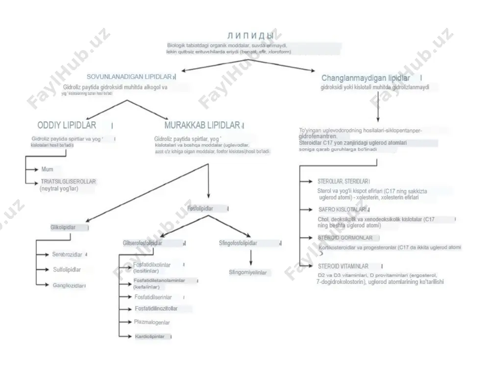 rtirilgan formula uglerod atomlari sonini va qo'sh aloqalar sonini ko'rsatadi. n – radikaldagi uglerod atomlari soni; metil uchiga eng yaqin qo'sh bog'lanish bilan ko'rsatilganω сн3(ch2)ncoo- yog 'kislotasi taglar (yog'lar) yog' kislotalari va uch atomli spirt glitserinning esterlari. glitserinning 3 ta gidroksil guruhiga 3 ta yog 'kislotasi qoldig'i biriktirilgan triatsilgliserinlarning tuzilishi (tag) taglar yog’ kislotalari radikallari (r1, r2, r3,) tuzilishida farq qiluvchi hidrofobik molekulalardir. o r2 – c – o – ch o h2c – o – c – r1 o h2c – o – c – r3 fosfolipidlarning tuzilishi lipidlarning hazm bo'lishi lipidlarni gidrolizlovchi fermentlarning mavjudligi (lipaz, fosfolipaza, xolesterin esteraza), optimal ph (bir oz ishqoriy), yog'larning emulsifikatsiyasi. kattalardagi lipidlarni hazm qilish 20 daqiqa vaqt oladi ichaklarda paydo bo'ladi: safro va oshqozon osti bezi shirasi o'n ikki barmoqli ichakka kiradi. xlorid kislota neytrallanadi, karbonat angidrid chiqariladi, bu yog'larning aralashishi va emulsifikatsiyasiga yordam beradi. safroning ma'nosi lipaz va fosfolipaza faollashtiruvchisi; yog 'emulsifikatori, …