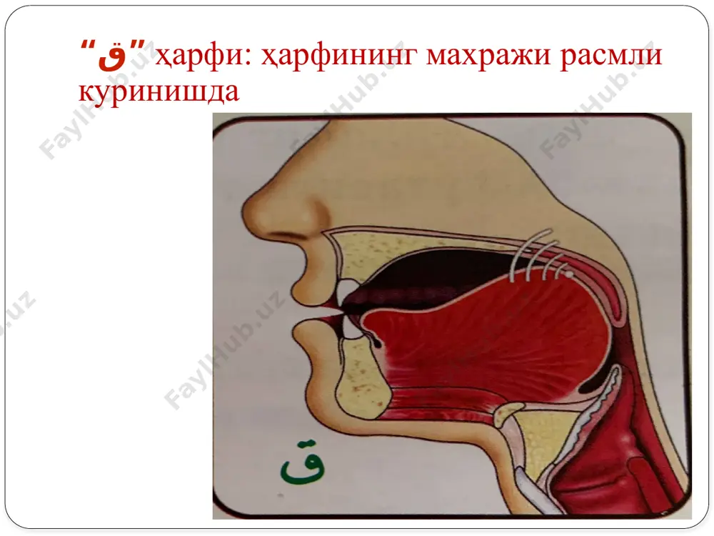 “қуръони карим ва тажвид” ўқув курси - Page 3