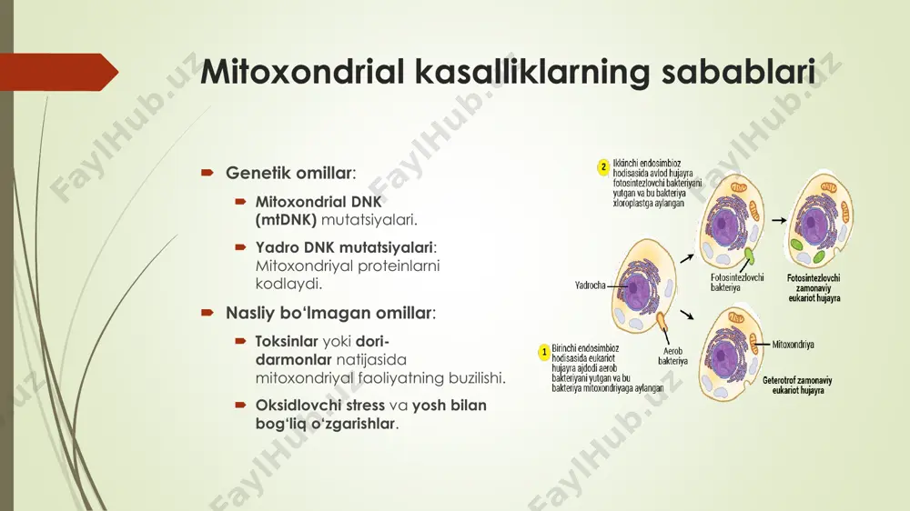mitoxondrial kasalliklar va gipoenergetik holatlar - Page 4