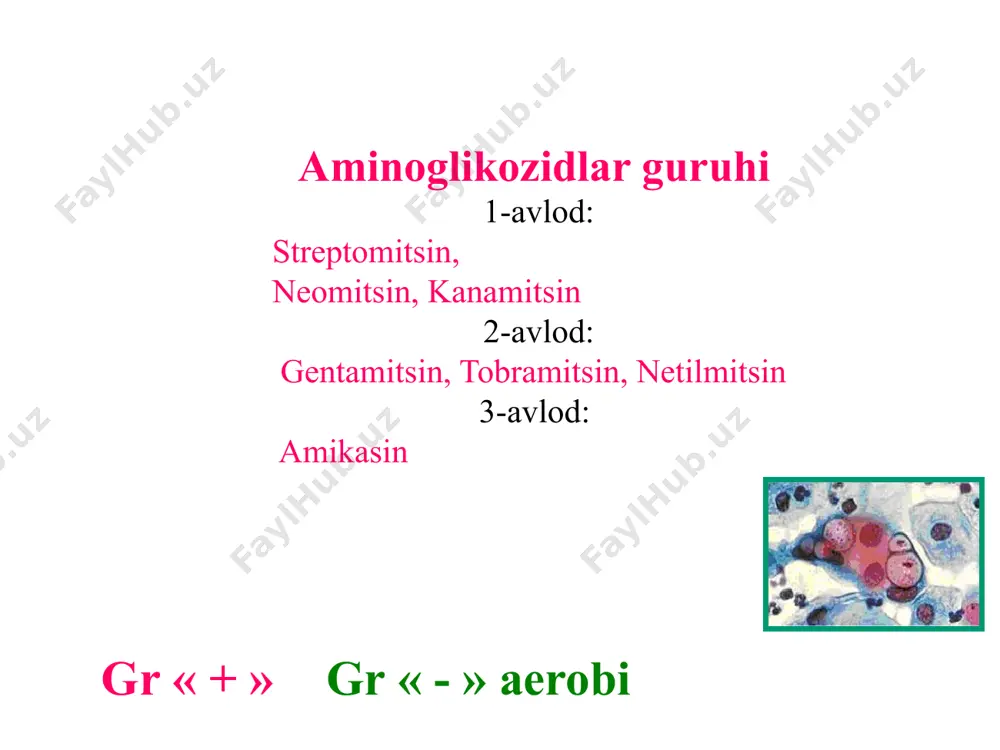 bostirish. antimikrobiyal ta’sirning tor spektri - gonokokklar, shu jumladan penitsillinga chidamli shtammlar xinolon / ftorxinolon guruhi 1 avlod (florlanmagan xinolonlar): 3 kislotalar - nalidiksik, oksolinik va pipemidik (pipemidik) tor spektr, mеp va ichak infektsiyalari uchun 2-chi dorilar 2 avlod (ftorxinolonlar): lomefloksatsin, norfloksatsin, ofloksatsin, pefloksatsin, siprofloksatsin. gr « - » gr « + » ta’sir mexanizmi xinolonlar / ftorxinolonlar bakteritsid ta’siriga ega bo‘lib, mikrob hujayralarining muhim fermenti - dnk girazasini va dnk biosintezini buzadi. dori vositalari bilan o‘zaro aloqalar antasidlar va magniy, sink, temir, vismut ionlarini o‘z ichiga olgan boshqa dorilar bilan bir vaqtda qo‘llanganda, so‘rilmaydigan xelat komplekslarining shakllanishi tufayli xinolonlarning biologik mavjudligi pasayishi mumkin.metilksantinlarni yo’q qilishni sekinlashtirishi va ularning toksik ta’siri xavfini oshirishi mumkin.nsaid, nitroimidazol lotinlari va metilksantinlarni bir vaqtda qo‘llash bilan neyrotoksik ta’sir qilish xavfi ortadi. dori vositalari bilan o‘zaro aloqalar xinolonlar nitrofuran hosilalarini antagonizatsiya qiladi, shuning uchun ushbu dorilarning kombinatsiyasidan qochish kerak. i avlod xinolonlari, siprofloksatsin va norfloksatsin …