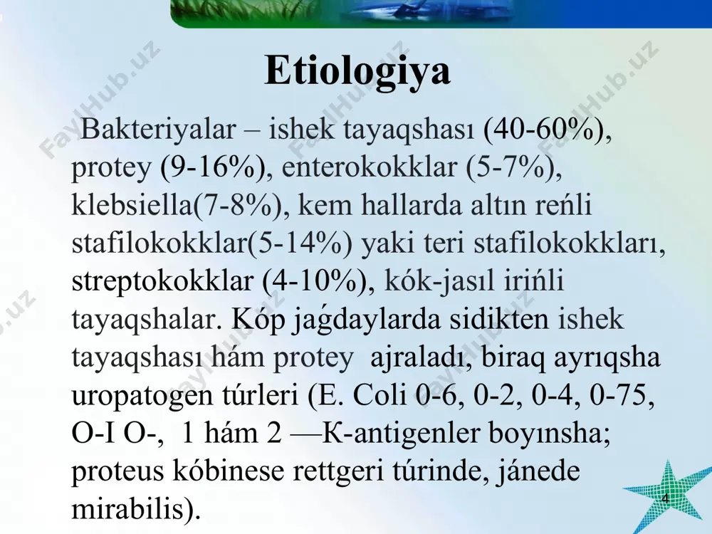 tárizli kirpikshelerge iye bolıp, onıń járdeminde sidik jolları uroteliyasına jabısadı hám jıljıp júriw imkaniyatına iye boladı. stafilakokk. kóbirek balalar ómiriniń birinshi jılında ajıraladı. stafilakokk shtamaları joqarı antigen aktivlikke iye. stafilakokk kirgen orında plazmanıń koagulyaciyaǵa, qan aylanıw ástenlesiwine, destruktiv ózgerisler fonında mikrocirkulyaciyanıń buzılıwına alıp keledi. stafilakokklardıń júzeki proteinleri fagocitozdı sóndiriw sıpatına iye. bul bolsa sidikte mikrob associaciyalarınıń payda bolıwı hám uzaq waqıt saqlanıwına shárayat jaratadı. * mikroorganizmlerdiń patogen sıpatları: enterekokklar. búyrek toqımalarına salıstırǵanda kúshli tropizm qásiyetine iye. bul infekciya áste, uzaq dawam etetuǵın xronik ótiwi menen sıpatlanadı. 17% nawqaslarda bakterial infekciya qabıqsız l- túrinde ushırasadı. l –transformaciya antibakterial terapiya (ásirese tómen dozalarda jiberilgende hám jiberiwler arasındaǵı interval úlken bolǵanda) hám qorǵaw faktorları (bakteriofaglar, lizocim, komplement) tásirinde kelip shıǵadı. l-túrler óziniń patogenli qásiyeti hám antibiotiklerge salıstırǵanda shıdamlılıǵın uzaq waqıt saqlap qaladı, olar jáne ózleriniń aldıńǵı bakterial jaǵdayına aylanıp alıw sıpatına iye (suwıq, viruslı infekciyalar, stresler tásirinde) bolıp, keseliktiń qaytalanıwına beyimlilik jaratadı. * …