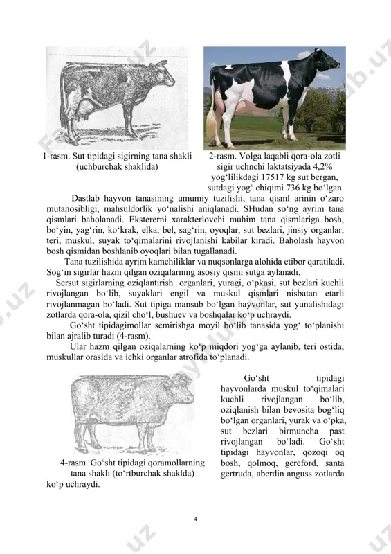 o‘rsatgichiga nisbatining foizda ifodalanishiga aytiladi. hayvonlarni o‘lchab borish ularning o‘sishi va rivojlanishi, zotlarni o‘zaro taqqoslash, avlodlarni ota-onasiga taqqoslash, mahsuldorligi bo‘yicha ularning tana tuzilishlarini baholash va shart-sharoit bo‘lmaganda ularning tirik vaznini taxminiy aniqlashda katta ahamiyatga egadir. qishloq xo‘jalik hayvonlarining tana qismlarini o‘lchashning maqsadga qarab o‘lcham olish turlicha bo‘ladi, ilmiy tekshirishlarda qoramollarda 30 dan ortiq, cho‘chqalarda 5, qo‘ylarda 5-6 dan ortiq, otlarda 20 ta, asosiy o‘sish va rivojlanishni kuzatib borish uchun esa qoramollarda 5-6, cho‘chqalarda 5, qo‘ylarda 5-6 ta otlarda 4 ta, parrandalarda 22 va 8 ta o‘lchamlar olinadi. litstin tayyog‘i bilan o‘lchanadigan tana qismlari: 1. yag‘rin balandligi -hayvonning oldingi oyog‘i turgan erdan to yag‘rinining eng baland nuqtasigacha bo‘lgan oraliq; 2. dumg‘uza balandligi- erdan do‘mg‘aza suyagining eng yuqori no‘qtasigacha bo‘lgan oraliq (qoramollarda); 3. bel balandligi – erdan belning yuqori qismiga bo‘lgan oraliq (qoramollarda); 4. qo‘ymich dungliklrining balandligi erdan qo‘ymich do‘ngliklarining ustigacha bo‘lgan oraliq (qoramollarda o‘lchanadi); 5. ko‘krak chuqurligi-yag‘rining eng baland nuqtasidan ko‘rak …