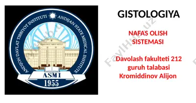 gistologiya nafas olish tizimi — PPTX