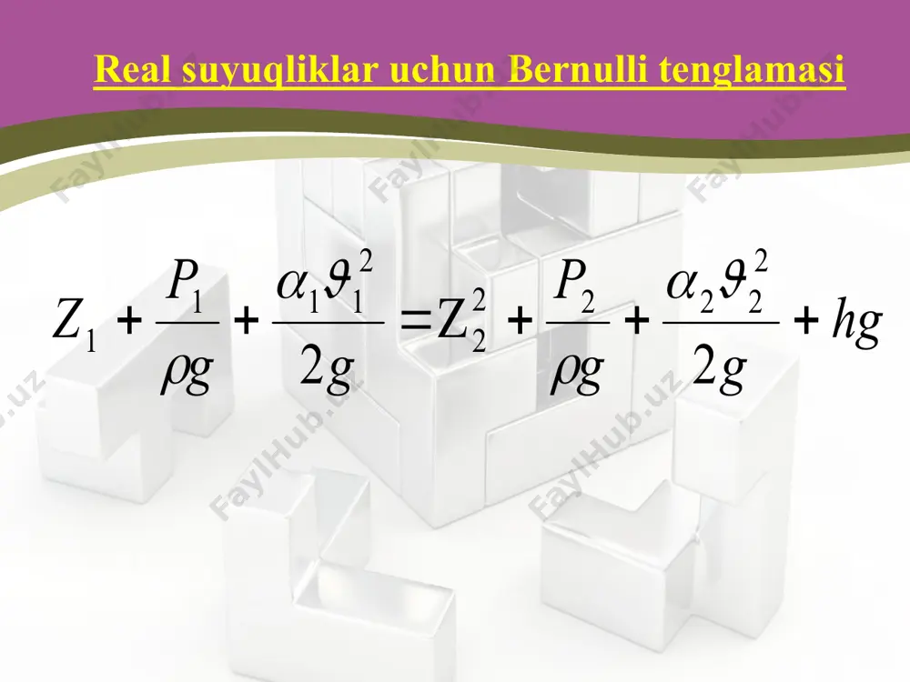 bernulli tenglamasi - Page 3