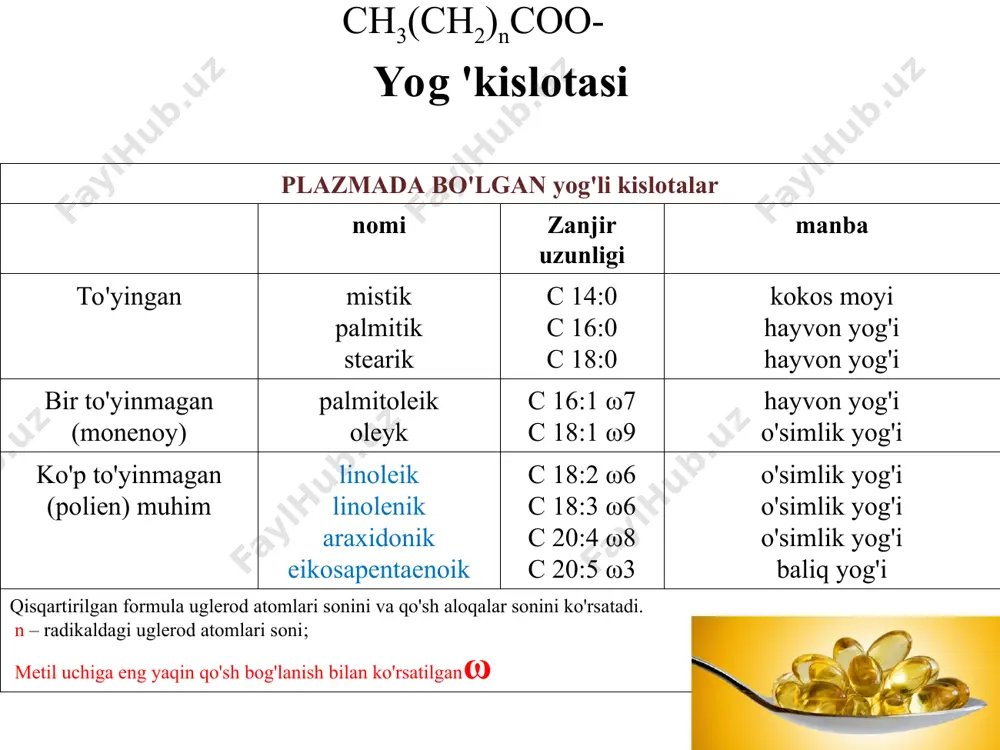 -c-o-c ch 2 -o-p-o-ch 2 -ch 2 -n(ch 3 ) 3 oh фосфолипаза à 1 фосфолипаза d фосфолипаза a 2 фосфолипаза c ch 2 -oh ch-oh ch 2 -oh + h 3 po 4 + r 1 cooh r 2 cooh +