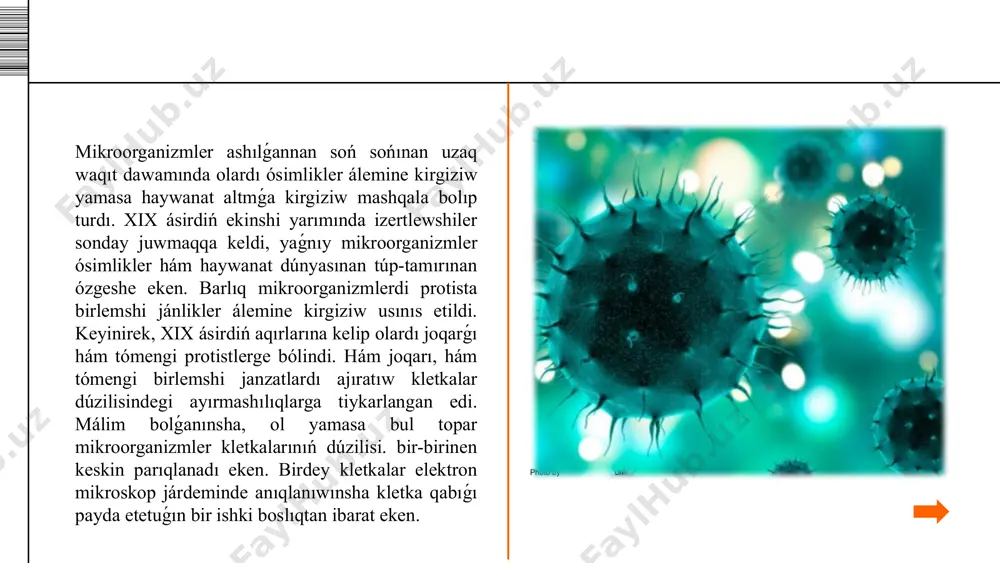 úrleri bolsa 50-60% ke shekem lipidler toplaydı. lipidler kletkanıń barlıq membranalarınıń zárúr strukturalıq komponenti bolıp tabıladı. olar kletka citoplazmasında tamshılar formasında yamasa citoplazmada rezerv azıqlıq zat formasında tamshı-tamshı túrinde toplanıwı múmkin.uglevodlar kletka quramınıń 10-30% in quraydı, ayırım túrlerde bolsa 40-60% ke shekem baradı. uglevodlar kletkalar mikrostrukturasi quramına kiredi hám kletka tirishilik iskerliginiń energiya deregi sipatında xızmet etedi. kletkalarda uglevodlar tiykarınan polisaxaridler, glikogen, granulyozalar, dekstrinler, kletchatka hám basqalar kórinisinde boladı. mikroorganizmlar juda joqarı ósiw tempi menen xarakterlenip, onıń tezligi qaysı túrge tiyisliligine qaray hám ósiw sharayatlarına baylanıslı. azıqlıq ortalıqlarındaǵı mikroorganizmlerdiń rawajlanǵanlıǵı ortalıqtı ılaylanıw, shókpe payda etiw yamasa onıń betinde perde payda bolǵanlıǵınan kórinedi. bakteriyalardı azıqlıq ortalıqlarında ósirilgende mikroorganizmler populyaciyasında ayırım basqıshlardıń áste-aqırın almasıwı baqlanıp, bakteriya kletkası ósiwi hám rawajlanıwın ulıwma nızamlılıqların sáwlelendiredi.1-basqısh: lag-faza, yamasa kóbeyiw bakteriyalardı jana azıqlıq ortalıǵına egilgen minuttan rawajlanıwdıń irkiliwi baqlanadı. bul basqıshtı beyimlestiriw basqıshı dep ataw múmkin bolıp, onıń dawamlılıǵı egiletuǵın kulturanı jabılıw, bakteriya túri, azıqlıq ortalıǵınıń …