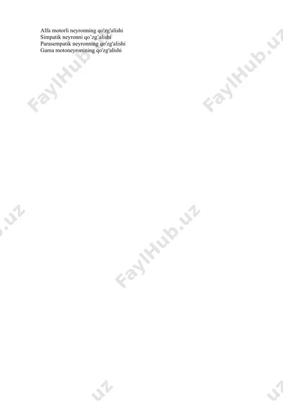 motorli neyronlarning giperpolyarizatsiyasi alfa motoneyronning qo'zg'alishi skelet mushaklarida ekstrafuzal mushak tolasining qisqarishiga nima sabab bo'ladi? alfa motorli neyronning qo'zg'alishi simpatik neyronni qo’zg’alishi parasempatik neyronning qo'zg'alishi gama motoneyronining qo'zg'alishi