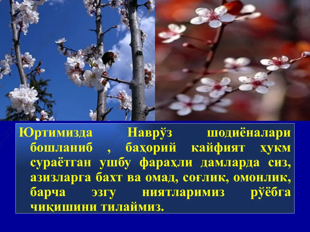алади. тарихда наврўзнинг мазмунини турлича талқин қилиб, баъзилар уни таракқий эттиришга, бошқалар эса уни таъқиқлашга ҳаракат қилишди. жумладан, грек-македон ва араб истилоси даврларида наврўз таъқиқланиб, у подшо саройларида, амалдорлар ва дин аҳли давраларида расмий байрам ҳисобланмаган. шуни алоҳида таъкидлаб ўтиш керакки, наврўз ўтмишдаги ҳар бир синфий жамиятда подшолар ҳукмдорлиги, диний идеология таъсирида шаклан ўзгариб турса-да, у ўзининг асосий моҳиятини сақлаб қолди. наврўз байрами кеча билан кундузнинг тенглашган пайти, бахор фаслининг 21-22- март кунларидан бошлаб бир ҳафта, ўн кун давомида ўтказилган. исломгача бўлган наврўзда оддий халққа тегишли бўлган одатлар ҳам диққатга сазовордир. байрам куни одамлар бир-бирига шакар ва ширинликлар ҳадя қилиш (ҳаётингиз ширин бўлсин деган маънода), бир-бирига cув сепиш (бу йил сув кўп бўлсин, ҳосил яхши бўлсин деган маънода) ва бошқа одатлар кенг тарқалган. кейинги асрларда эса ҳовли-жойларни тозалаш, кўкат ва гуллар экиш, ота-она, ёру дўстларни зиёрат қилиш, марҳумларнинг қабрини зиёрат қилиш каби одатлар наврўз байрамининг таркибий қисмига айланган. наврўз байрами …
