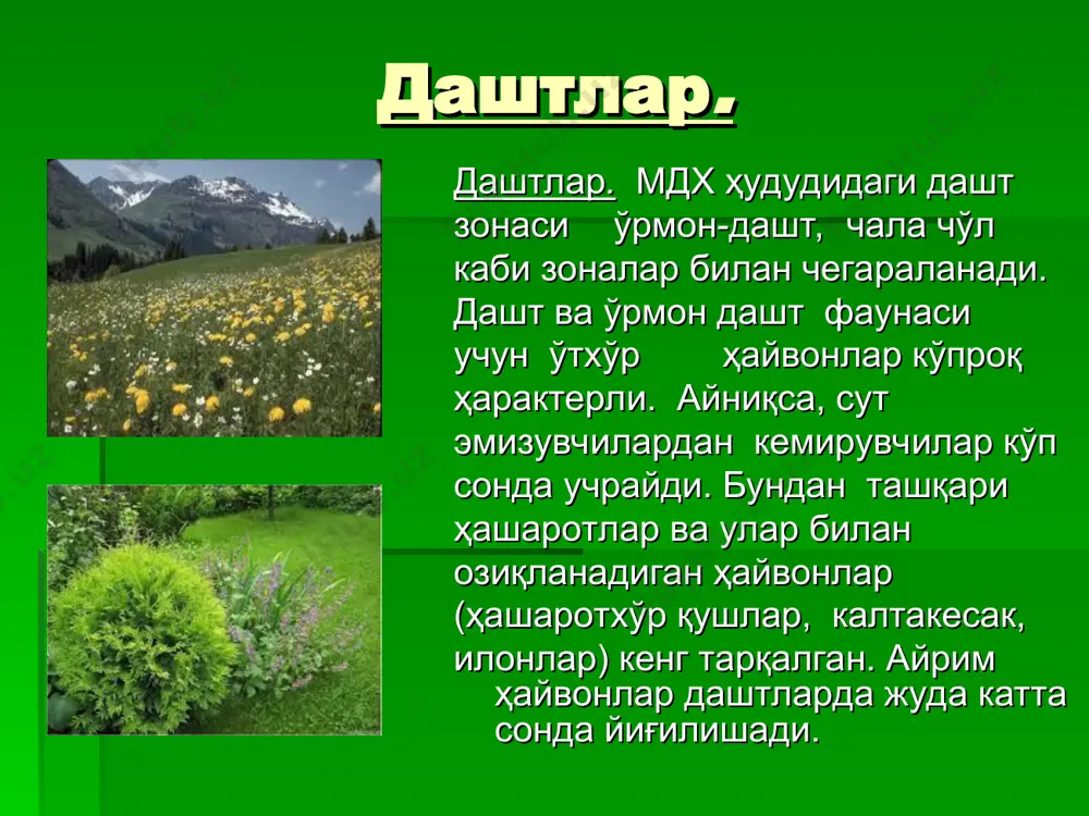 лигидир. бахор ойларида чўлларда ўсимлик ва ҳайвонот дунёси анча бой бўлади. ўзбекистон республикасининг ҳам кўп қисми чўл зонасига жойлаш ган. чўл злнасига ҳайвонлар дашт зонасига қараганда анча кам миграция қилишади. бўзонадаасосан қушларнинг миграциясини кузатиш мумкин. бу зонадаги кўпгина ҳайвонлар анабиоз ҳолатига ўтиш ёки уйкуга кетиш ор кали ноқулай шароитдан ўзларини ҳимоя қилишади. тоғ зонаси учун вертикал ярустлилик ҳарактелилидир. албатта ғоризонтал зоналлик ҳам ҳайвонларнинг тоғ зонасида тарқалишини белгилашда муҳим аҳамиятга эга. фауна таркиби ва шакл ланишигатоғларнинг тарихи кучли таъсир кўрсатган. тоғ зоналарида қушо ёклар, қум сичқонлар, русак куёни, какликлар, чипор илонлар, ўрмон мушуги, куница, типратикон, крот, буғу, европа косуляси, қизилиштонлар, чумчуқси монларнинг вакиллари, кунгир айиқ, кайчи тумшуқ, кедровка, арҳар, чиллар (тўртинчи тур), кавказ саламандраси, кўр тоғ эчқилари, дала сичқонлари, понользм (фотма чумчуқ), сқололаз гекконлар, кўршапалаклар (ғорларда), қоя кафтарлари, чегарасиз ов қилиш, чорвачиликнинг мазкур ҳудудларда ривожланиши кўпгина ҳудудларни қўриқхона ёки буаорт махофалар ҳолига сақлаш заруриятини тугдиради. ер юзида аҳоли сонининг ошиб бориши …