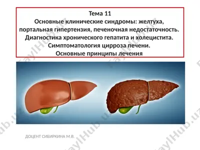 доцент сибиркина м.в. — PPTX