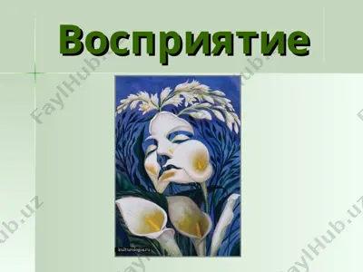 восприятие — PPT