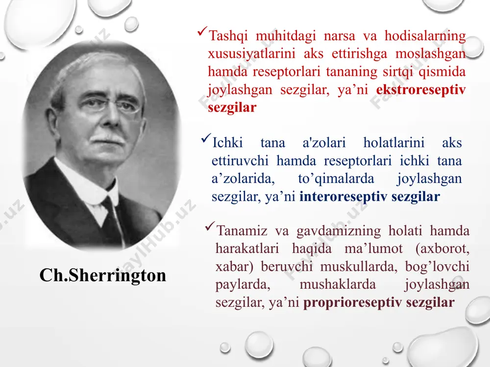 inesteziya qo’zg’atuvchining bir analizatorga ta'siri bilan boshqa analizatorga xos sezgining paydo bo’lishidir. sezgilarning o`zgarishi adaptasiya sensibilizasiya sinesteziya sezgilar kontrasti sezgilarning o`zgarishi adaptasiya sensibilizasiya sinesteziya sezgilar kontrasti qarama-qarshi sifatga ega bo’lgan bir vaqtdagi qo’zg’alish tufayli sezgirlikning o’zgarishi sezgi borasidagi nazariyalar xristian volf - ratsionalizm nazariyasi berkli, yung, myuller, gelmols - “spetsifik energiya” nazariyasi neff i.m.sechenov s.v.kravkov i.p.pavlov ye.n.sokolov, vinogradov idrok sezgi a'zolariga bevosita ta'sir etib turgan narsa-hodisalar obrazlarini kishi ongida bir butun holda aks ettirilishi m.vohidov sezgi a'zolarimizga ta'sir etayotgan narsa va hodisalarni yaxlit holicha aks ettirishga aytiladi v.karimova bu bilishimizning shunday shakliki, u borliqdagi ko’plab xilma-xil predmet va hodisalar orasida bizga ayni paytda kerak bo’lgan obyektni xossa va xususiyatlari bilan yaxlit tarzda aks ettirishimizni ta’minlaydi odam hozirgi idrokidan hosil bo’lgan obrazlar ilgarigi idroklarida vujudga kelgan va xotirasida saqlanib qolgan obrazlar bilan taqqoslab ko’radi. agar hozirgi idrokdan hosil bo’lgan obraz ilgari xuddi shu narsani idrok qilishdan vujudga keltirilgan obrazga to’la mos …