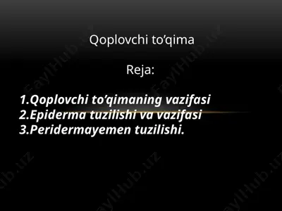 qoplovchito’qima — PPTX