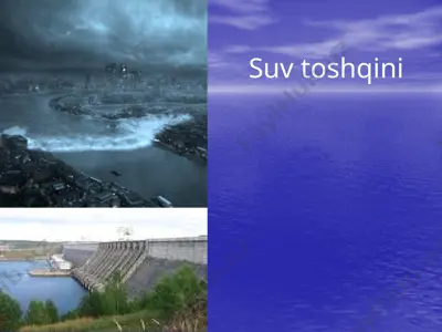 suvtoshqini — PPTX
