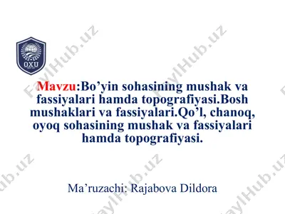 bo’yinsohasining mushak va fassiyalari hamda topografiyasi — PPTX