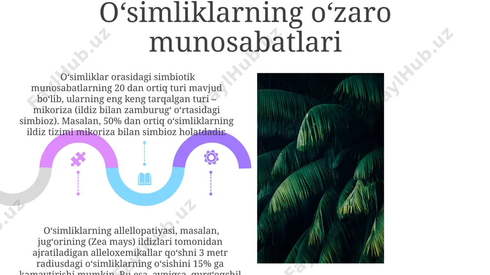 o'simliklar ekologiyasi asoslari - Page 5