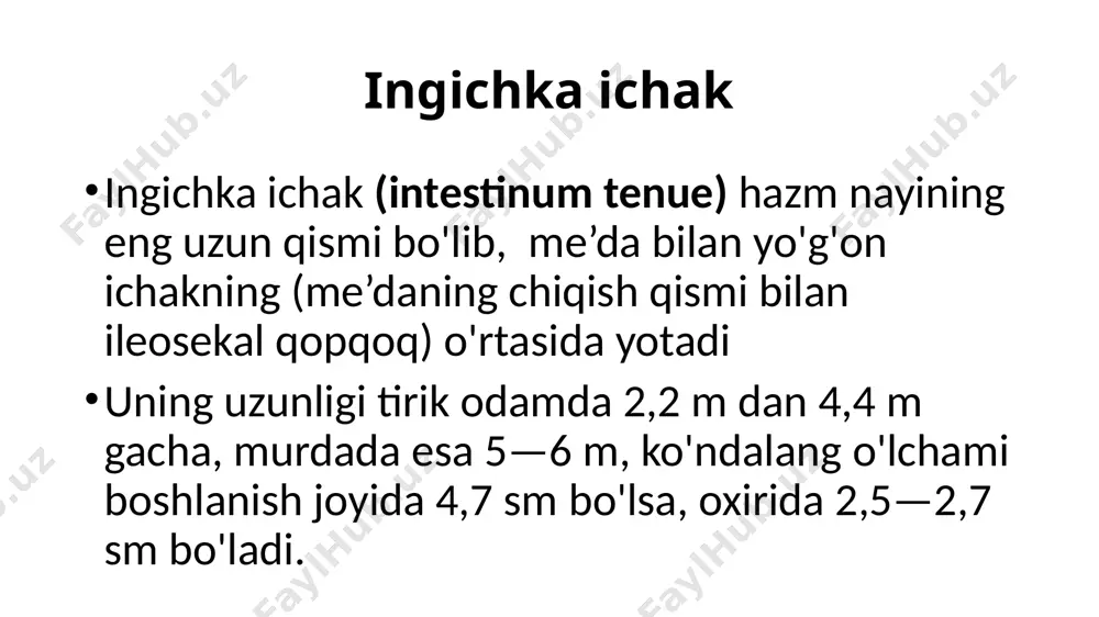 qoriga ko'tarilib, ko'tariluvchi qismiga davom etadi. 4. ko'tariluvchi qismi (pars ascendens) ii bel umurtqasi tanasining chap chekkasi sohasida o‘n ikki barmoq-och ichak burilish burchagi (flexura duodenojejunalis) hosil qilib, och ichakka o'tib ketadi. 0 ‘n ikki barmoq ichakning shilliq pardasida burmalar mavjud. bu burmaning pastki qismidagi o‘n ikki barmoq ichakning katta so'rg'ichiga (papilla duodeni major) umumiy o‘t yo'li va me’da osti bezi nayi, undan yuqoriroqda joylashgan kichik so'ig'ichga (papilla duodeni minor) me’da osti bezining qo'shimcha nayi ochiladi. och ichak (jejunum) och ichak (jejunum) o‘n ikki barmoq ichakning bevosita davomi bo'lib, qorin bo'shlig'ining chap yuqori qismida yotadi. yonbosh ichak (ilium) yonbosh ichak (ilium) qorin bo'shlig'ining o'ng pastki qismini egallab, o'ng yonbosh chuqurchasida ko'richakka o'tib ketadi. ingichka ichakning devori quyidagi tuzilishga ega: 1.shilliq qavat (tunica mucosa) pushti rangda bo'lib, bir qavat silindrsimon epiteliy bilan qoplangan. shilliq pardada ko'p sonli (4 mln) uzunligi 0,2—1,2 mm bo'lgan ichak vorsinkalari (villi intestinales) bo'ladi. vorsinkalarda markazida limfa …