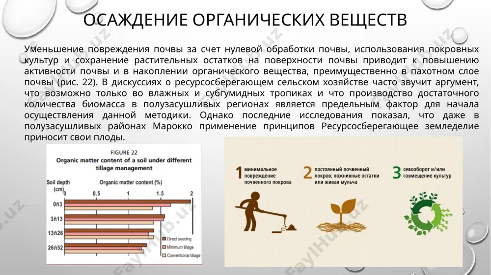 льшие количество биомассы мукуна можно сохранить еще больше c, добавив бобовые покровные культуры к севообороту. это показано на рисунке 26 на основе двух экспериментов в рио-гранде сул, бразилия. помимо добавления c в почву, бобовые добавляют значительное количество n к почве, что приводит к увеличению биомассы производство последующих культур. предполагая среднее накопление углерода 0,5 т/га/год, на таких территориях как южная бразилия (риу-гранди-ду-сул, санта-катарина и парана) в условиях ресурсосберегающего сельского хозяйства. имел бы возможность изолировать 5 миллионов тонн углерода в год, что соответствует 18 млн тонн атмосферный со2. недавние исследования показали, что почва температура является одним из основных климатических факторы, влияющие на выбросы co2. высокая температура почвы ускоряет дыхание почвы и, таким образом, увеличить выбросы co2. это имеет значение для ландшафта. и землепользование на определенной территории. на выпуклых склонах и вершинах холмов выбросы превышают в предгорьях, где температура обычно ниже. изложенное свидетельствует о том, что не только для сохранения почвы и воды …