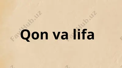 qon va lifa — PDF