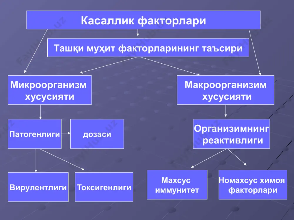 бириканда траспазонлар дупликация ва ундан ажралиб чикишда эса делеция келтириб чикаради.яна кириши ва кайтадан фрагментга бирикиши 180 º натижасида инверция келтириб чикаради.транспазонлар узларида маълум бир малумотларни сакловчи генлар тутади ва муътадил фаглар ёрдамида бу маълумотлар бошка бактерияларга утади. is - элементлар ( insertion – қуйиб қўйиш, sequence- кетма – кет) одий миграцияга учровчи элемент бўлиб, ўртача узининг таркибида 800 дан 1400 тагача жуфт нуклеотит тутади. элемент узи репликацияга учрамайди ва фенотипда аникланувчи белгилар сакламайди. унинг таркибидаги ген факат -элементни бир учаскадан иккинчи учаскага сакраб утиб юришини таминлайди. is -элементни асосий вазифаси бактерия хужайраси генларини активлигини бошкариб туради.генларни инактивация килиши ёки проматор эффектини келтириб чикаради. бундан ташкари транспазон ва плазмидларни бактерия геноми билан ёки узлари орасидаги кординацияларни бошкариб туради. хромосомаларда сакраб утиш доврида делеция ёки инверция келтириб чикаради генотипик ўзгарувчанлик – ҳужайра геномида ўзгаришлар рўй беради ва геномдаги ахборотларга таъсир кўрсатади. бунда бактерия-ларда янги белги хусусиятлар вужудга келиши ёки уларни йўқотиши …