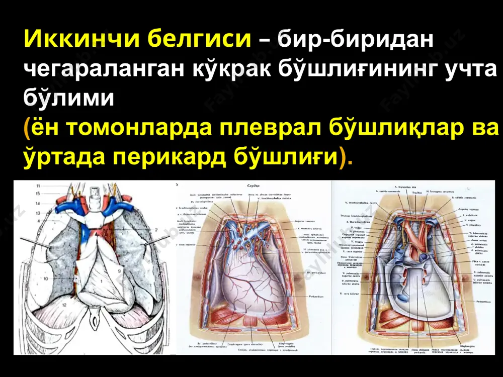 ва клапанли зўриқувчи пневмоторакс. бронх йиртилиши; ўпка йиртилиши; париетал плевра йиртилиши натижасидаги тери ости эмфиземаси; медиастинал плевра бузилиши натижасида кўкс оралиғи эмфиземаси. очиқ пневмоторакс – кўпинча кўкрак деворининг катта ҳажмда жароҳатланиши натижасида, камроқ ҳолларда бош бронх ёки трахея шикастланиши оқибатида вужудга келади. бу жуда оғир ҳолат (кўп ҳолларда ўлимга олиб келади). оғир ҳолат шок ривожланиши билан боғлиқ. очиқ пневмотораксда патофизиологик механизмларнинг тўлиқ комплекси ривожланиб боради: 1) ателектаз – нафас етишмовчилиги; 2) парадоксал нафас олиш; 3) кўкс оралиғининг тебраниши; 4) кўкрак бўшлиғининг “сўриш” хусусияти бузилади; 5) плевранинг атмосфера ҳавосидан таъсирланиши. биринчи ёрдам – герметик боғлам. жарроҳлик ёрдами – жароҳатни шошилинч равишда ёпиш. клапанли пневмоторакс - жароҳат атрофидаги тўқималардан клапан шаклланишида юзага келади. нафас олиш пайтида ҳаво плеврал бўшлиққа киради, нафас чиқаришда эса клапан ёпилиб ҳавони ташқарига чиқармайди. бронхлар шикастланганида (ички пневмоторакс) ва кўкрак қафаси жароҳатланганида (ташқи пневмоторакс) ривожланади. плевро-пульмонал шок ривожланиши билан кечади. кўкс оралиғининг тебраниши, унинг соғ томонга силижиши кузатилади …