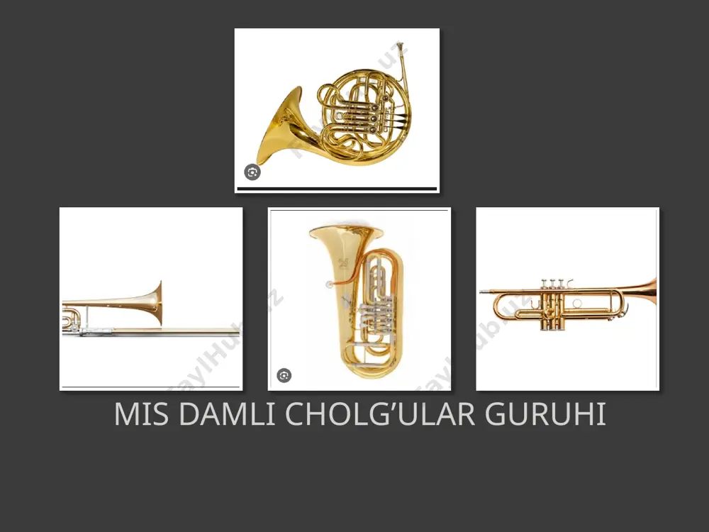 damli va zarbli cholg’ular orkestri - Page 4