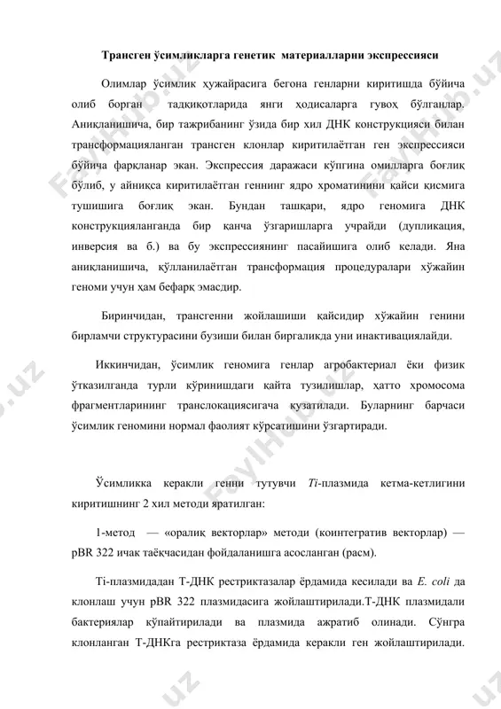 ti-плазмидага киради. т-сегментга керакли генлар жойлашган ti-плазмидани ташувчи а. tumefaciens ҳужайралари ҳосил бўлади. уларнинг навбатдаги кўчирилиши агробактерияларга хос бўлган оддий йўл билан амалга оширилади. иккинчи метод бинар (қўш) векторлар системасини яратишга асосланган. охирги тадқиқотлардан маълум бўлишича, зарарлаш ва трансформация учун яхлит ti-плазмида керак эмас, балки т-днк нинг чекка участкаси ва ti -плазмиданинг вирулентликка жавобгар бир участкасининг ўзи етарлидир. бу иккала участка бир плазмидада бўлиши ҳам шарт эмас. агар агробактерияда vir сегментли ti-плазмида ва т-днкли бошқа плазмида бўлса, бу бактериялар ўсимлик ҳужайрасини трансформациялаши мумкин. бундай ҳолда исталган ген жойлаштирилган т-днк ўсимлик геноми билан интеграцияланади. бунинг учун бактерия ҳужайраларида гомологик рекомбинация содир бўлиши керак эмас. бегона генлар экспрессияси учун т-днкнинг махсус промотори, масалан нопалинсинтетаза промотори керакдир. ўсимлик ҳужайрасига конструкцияланган ti-плазмидани киритишнинг бир нечта методлари бор. булардан энг оддий табиий усул – расм. тi-плазмида асосида коинтегратив векторни яратилиши. рп - рестриктаза 1рдамида парчаланиш конструкцияланган штаммларни ўсимликнинг зарарланган қисмига киритишдир. бошқа метод – протопластларни …