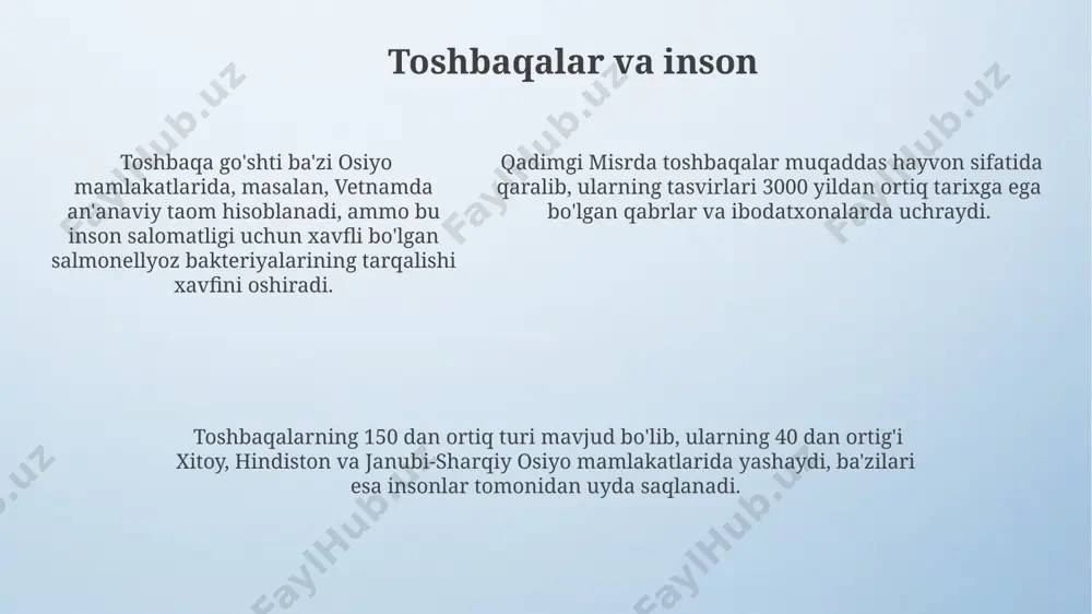 bilan 20-30 sm chuqurlikdagi inlarni qazishlari mumkin. markaziy osiyo toshbaqalari (testudo horsfieldii) 18-25 sm gacha o'sadi va qattiq qobiq tuzilishi tufayli cho'l va yarim cho'l hududlarida 30-40°c haroratlarda yashashga moslashgan. dengiz toshbaqalarining, masalan, cheloniidae oilasiga mansub turlarining, suyakli qalqoni 1.5 metrgacha yetishi va ulkan tana og'irligi (450 kg gacha) bilan ajralib turishi mumkin. e'tiboringiz uchun rahmat @taqdimot_robot image4.png image3.jpeg