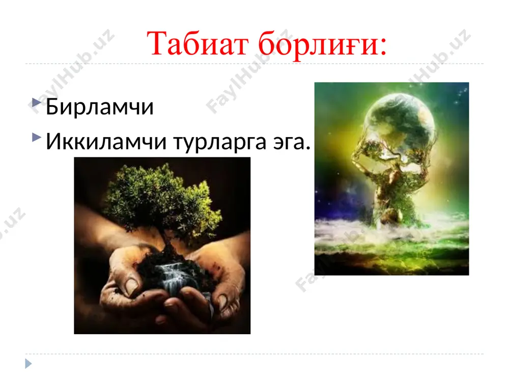 борлиқфалсафанинг фундаментал категорияси - Page 5