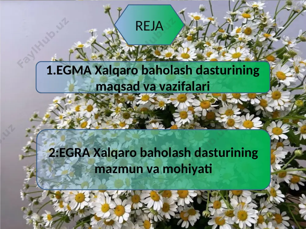 egma va egra xalqaro baholash dasturi mazmun-mohiyati - Page 3