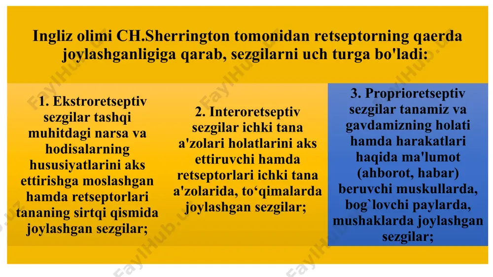 chlari o'rtasidagi masofani o'lchaydi. tuyish sezgilarining markazi bosh miya po'stining orqadagi markaziy nuqtasida joylashgan deb tahmin qilinadi. tuyish sezgilarining tashqi, ya'ni fizik sababi bu biron- bir narsalarning teriga bevosita tegishidir. muskul-harakat sezgilari motor sezgilar deb nomlanib, ularga og`irlikni, qarshilikni, organlar harakatini bilish sezgilari kiradi. ularning organlari–gavda muskullari, paylar, bo‘g`imlardan iboratdir. organlarning tarkibida sezuvchi nervlarning chekka tarmoqlari mavjud bo'lib, ularning ta'sirida harakat va statik sezgilar vujudga keladi. muskul – harakat sezgilarining fizik sababi muskullarga ta'sir etuvchi narsalarning mehanik tazyiqi va gavda harakatlaridir. statik sezgilar gavdaning fazodagi holatini sezish va muvozanat saqlash sezgilari deb ataladi. organik sezgilarga quyidagilar kiradi: og`riq sezgilari; chanqoq sezgilari; nohush tuyg`ular; ochlikni sezish. aim.uz sezgi chegarasining me'yori ?anchalik kichik bo'lsa, mazkur analizatorning sezgirligi shunchalik yuksak bo'ladi. formulasi е=— 1 p1 е – sezgirlik r-qo'zg’atuvchining ta'sir me'yori. sezgining mutlaqo yuqori sezuvchanligi deb qo'zg’atuvchining kuch bilan ta'sir qilishiga aytiladi. sezgilar o'rtasidagi bilanar–bilinmas farqni hosil qiluvchi ikkita qo'zg’atuvchi o'rtasida mavjud bo'lgan …