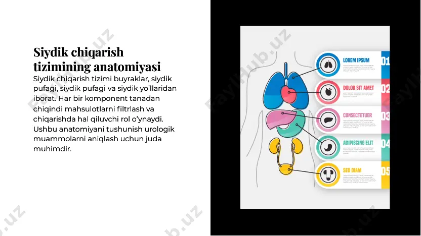 malliklari va kechiktirilgan hojatxona mashg’ulotlari asosiy urologik kasalliklarni ko’rsatishi mumkin. ushbu alomatlarni erta aniqlash bolalar urologik yordami uchun juda muhimdir. diagnostika vositalari diagnostika vositalari urologik kasalliklarni aniqlashda turli diagnostik testlar, jumladan siydik tahlili, ultratovush tekshiruvi va urodinamik tadqiqotlar muhim rol o’ynaydi. ushbu vositalar aniq tashxis qo’yish va davolashni rejalashtirishga yordam beradi. urologik kasalliklarni aniqlashda turli diagnostik testlar, jumladan siydik tahlili, ultratovush tekshiruvi va urodinamik tadqiqotlar muhim rol o’ynaydi. ushbu vositalar aniq tashxis qo’yish va davolashni rejalashtirishga yordam beradi. davolash usullaridavolash usullari dori-darmonlarni davolashdan jarrohlik aralashuvlarga va turmush tarzini o’zgartirishga qadar urologik kasalliklarni davolashning bir qator yondashuvlari mavjud. mavjud variantlarni tushunish keng qamrovli yordam ko’rsatish uchun muhimdir. dori-darmonlarni davolashdan jarrohlik aralashuvlarga va turmush tarzini o’zgartirishga qadar urologik kasalliklarni davolashning bir qator yondashuvlari mavjud. mavjud variantlarni tushunish keng qamrovli yordam ko’rsatish uchun muhimdir. bemor ta’limibemor ta’limi bemorlarga urologik alomatlar va erta aniqlashning ahamiyati haqida bilim berish natijalarni yaxshilash uchun juda muhimdir. ta’lim …
