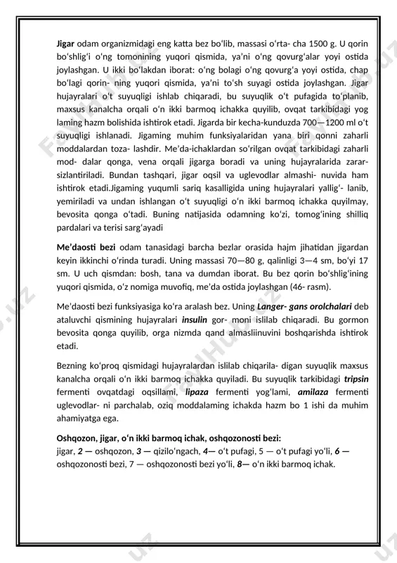 aza fermenti yog‘lami, amilaza fermenti uglevodlar- ni parchalab, oziq moddalaming ichakda hazm bo 1 ishi da muhim ahamiyatga ega. oshqozon, jigar, o‘n ikki barmoq ichak, oshqozonosti bezi: jigar, 2 — oshqozon, 3 — qizilo‘ngach, 4— o‘t pufagi, 5 — o‘t pufagi yo‘li, 6 — oshqozonosti bezi, 7 — oshqozonosti bezi yo‘li, 8— o‘n ikki barmoq ichak. iv-bosqich : mustahkamlash quyidagi organlarni taqosslang quyidagi testlarni yeching ovqat tarkibida yog‘larni emulsiya holatiga keltiruvchi moddani aniqlang? a) lipaza b) pitialin c) o‘t suyuqligi 2.pepsin fermenti qayerda sintezlanadi? a) o‘n ikki barmoqli ichakda b) ko‘richakda c) oshqozonning shilliq qavatida v-bosqich : baholash vi-bosqich : uyga vazifa mavzuni o`qib gapirib berish sirdaryo viloyati xovos tumani 13 idumning biologiya fani o`qituvchisi maxmanazarova saidaning “jigar,me`da osti bezi” mavzusida yozgan bir soatlik dars ishlanmasi image5.png image6.png image7.png image1.png image2.png image3.png image4.png