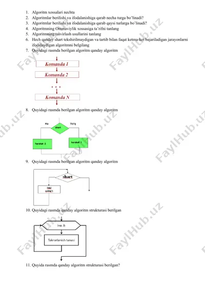 algoritm xossalari nechta — DOCX