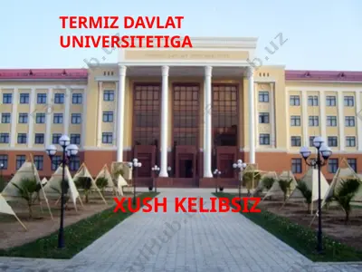 obraz - insonning adabiyotdagi umumlashma tasviri — PPTX