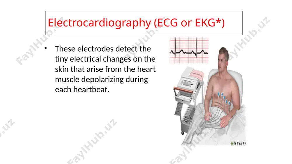 physical basis of electrocardiography and vectorcardiography - Page 4