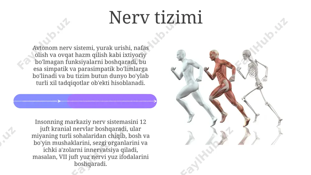 odam tanasining anatomik tuzilishi - Page 4