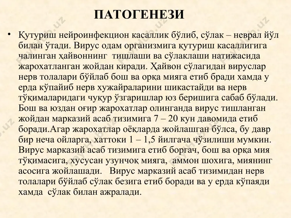 viloayt yuqumli kasalliklar shifoxonasi - Page 5