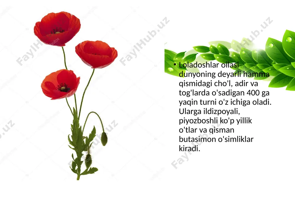 loladoshlar oilasi. 6 - sinf - Page 5