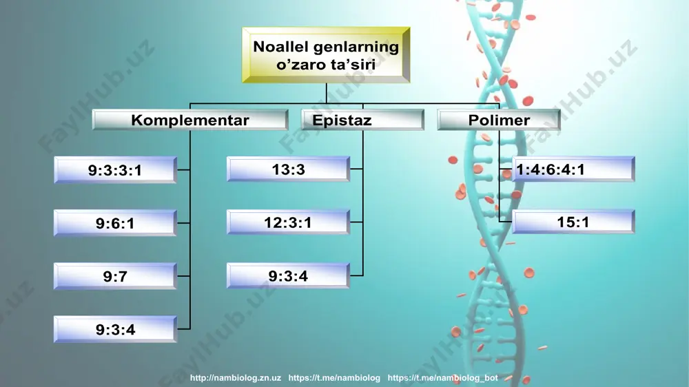 ni tahlil qiling. 2. mavzu so`ngida berilgan savollarga javob yozing. uyga vazifa http://nambiolog.zn.uz https://t.me/nambiolog https://t.me/nambiolog_bot http://nambiolog.zn.uz https://t.me/nambiolog https://t.me/nambiolog_bot http://nambiolog.zn.uz https://t.me/nambiolog https://t.me/nambiolog_bot http://nambiolog.zn.uz https://t.me/nambiolog https://t.me/nambiolog_bot