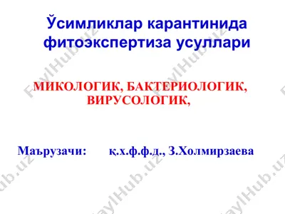 ўсимликлар карантинида фитоэкспертиза усуллари — PPT